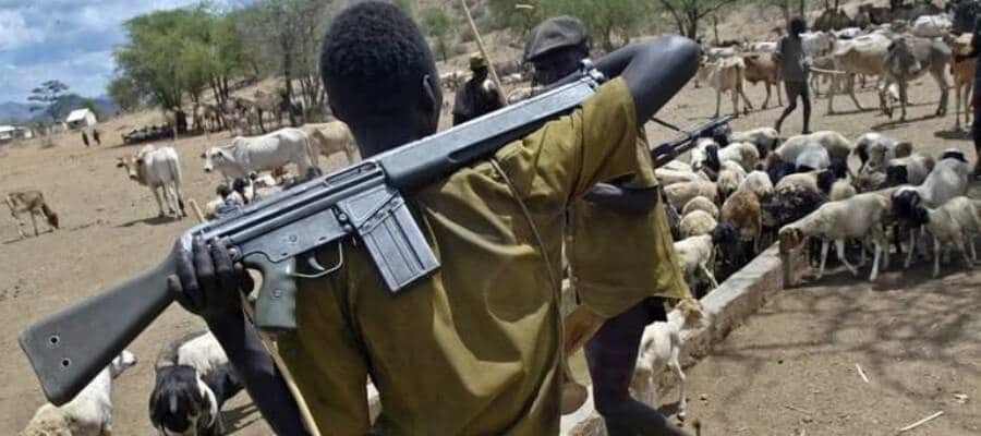 Fresh attack on Benue communities: Herdsmen kill 18, including children