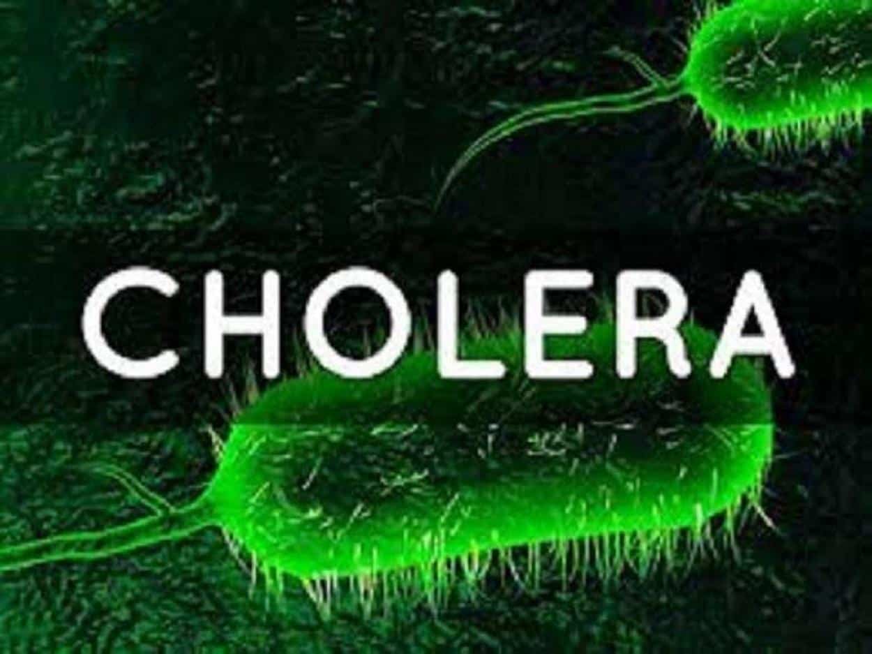 EU Moves To Contain Cholera Epidemic In Nigeria, Allocates Fresh €500,000