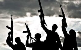 Gunmen suspected to be herdsmen kill police DPO, others in Benue