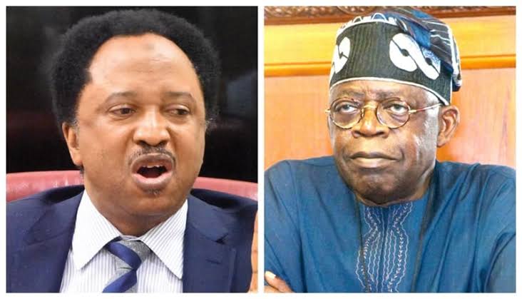 Tinubu not as old as being portrayed, we're both young guys —Sani