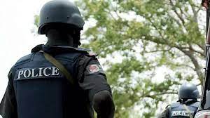 Police arrest killers of two officers in Jigawa State