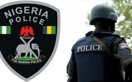 Nigerian police arrest 19-year-old IPOB member in Katsina
