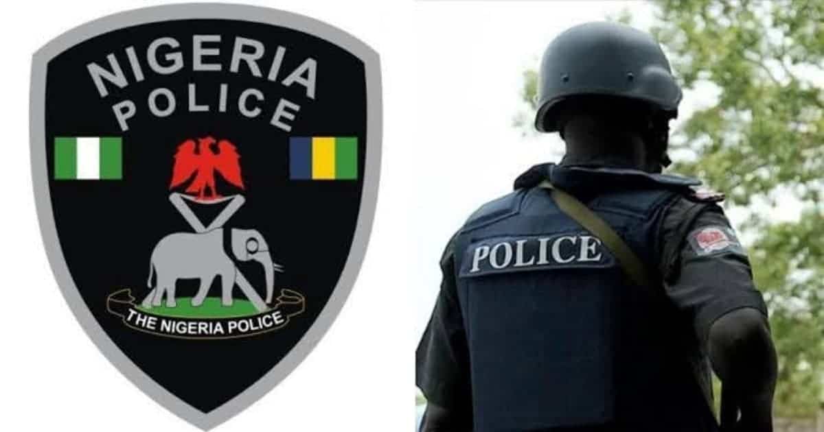 Nigerian police arrest 19-year-old IPOB member in Katsina