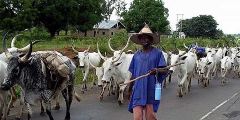 Zamfara shuts 11 markets where bandits sell stolen cattle