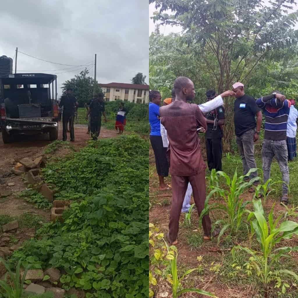 Suspected ritualists murder 65-year-old woman in Osun