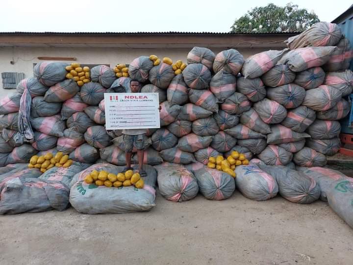 NDLEA Intercepts Over 1.7 million Opioid Pills At Lagos Airport, Gombe