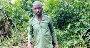 Nigerian man arrested for chaining, killing his two children in Ondo