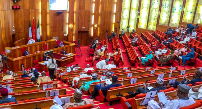 Senate Presidency: Renewed Hope’s elephant, big enough for all, Tinubu tells lawmakers-elect