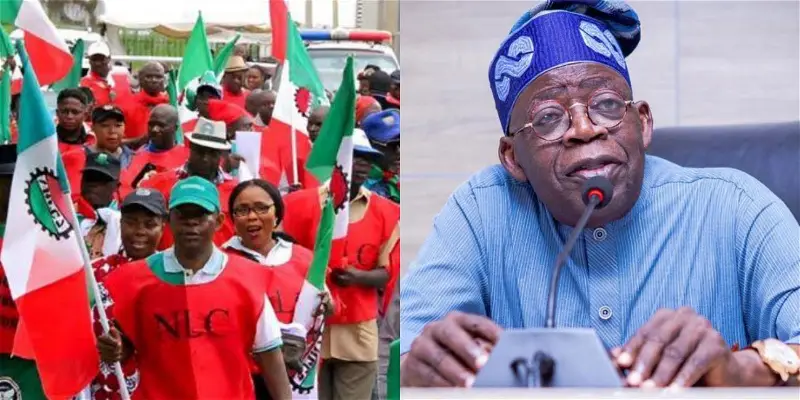 Tinubu Proposes Immediate Solution to Subsidy Removal Effects, Assures Prompt Action - Oshiomhole
